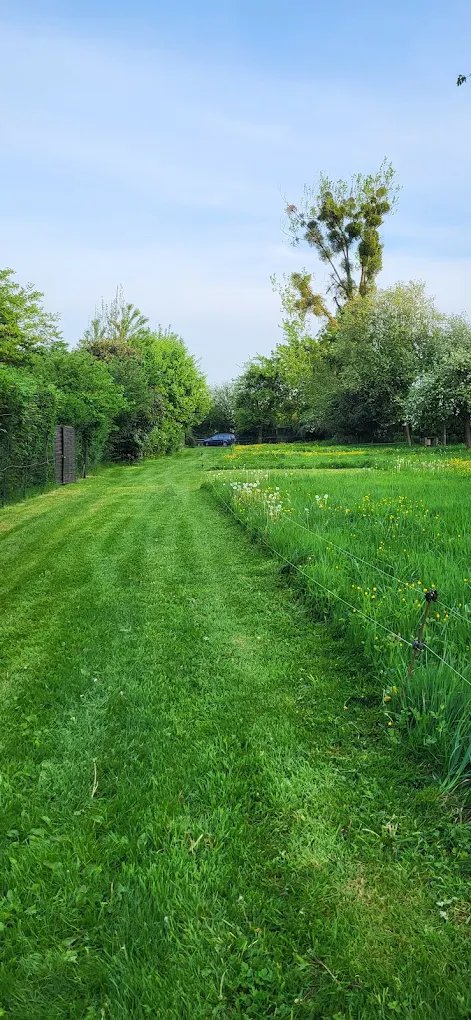 Allée verte du camping
